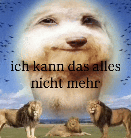 Hund Deutsch GIF