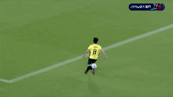 Maccabi Netanya FC GIF
