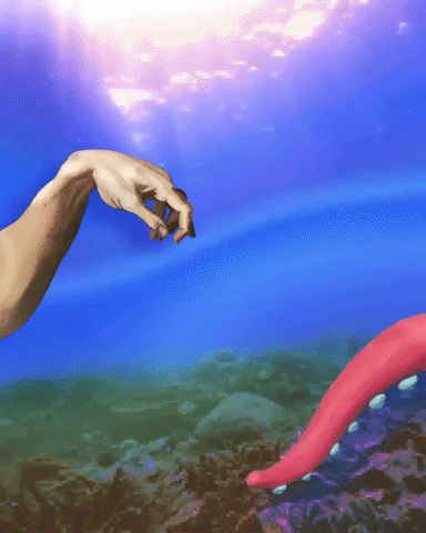 New Friends GIF by OctoNation® The Largest Octopus Fan Club!