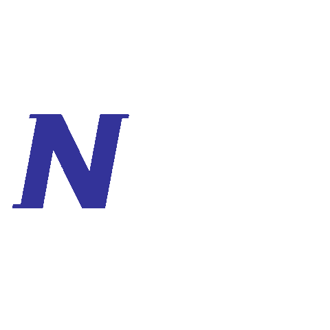NOZ Sticker