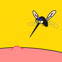 Mosquito GIFs - Get the best GIF on GIPHY