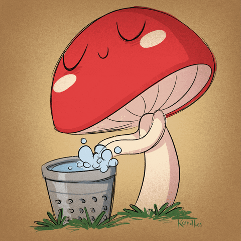 Animation GIF