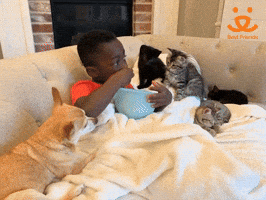 Best Friends GIF by Best Friends Animal Society
