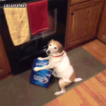 Mad Bud Light GIF - Find & Share on GIPHY