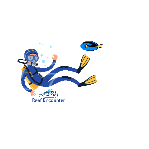 Reef Experience Sticker