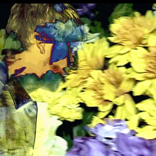 flowers lsd GIF