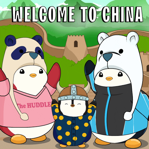 China Team GIF by Pudgy Penguins