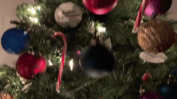 Christmas Tree GIF by Quilt