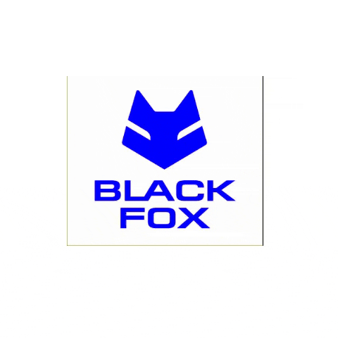 BlackFoxMotors blf blackfoxmotors GIF