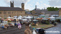 Farmers Market Robbery
