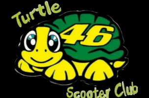 Turtlessa Tuttle'S GIF