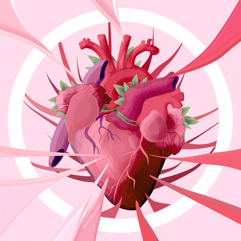Animation GIF