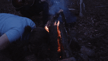 200.gif?cid=fc005b08ed45cfc125367f447beb8159e9ea69ec6997dbb5&rid=200.gif&ct=g