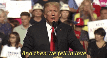 Political gif. Donald Trump at a rally stands at a microphone with an audience holding signs behind him. He spreads his arms wide and says, "And then we fell in love."