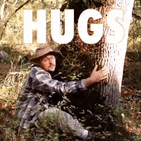 Tree Forest GIF by Four Rest Films