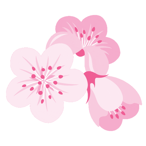 Pink Flowers Sticker by Tereza's Choice