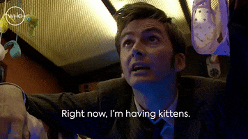 David Tennant Kittens GIF by Doctor Who
