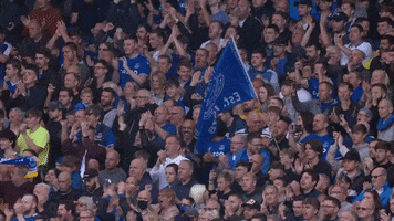 Football Fans GIF by Everton Football Club