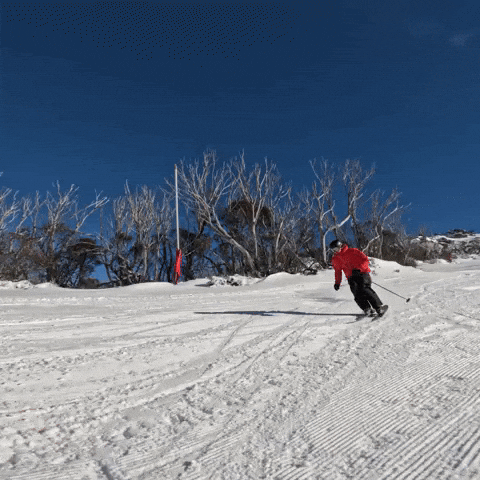 GIF by Thredbo