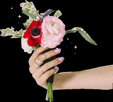 Flower Bodega GIF