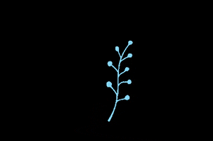 Aesthetic GIF