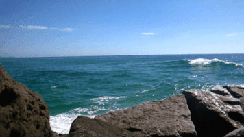 Surf Australia GIF