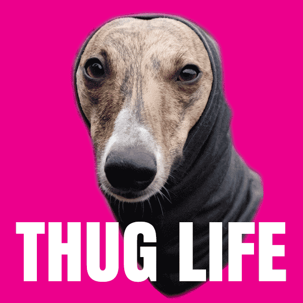 thug life gif