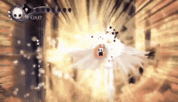 Hollow Knight GIF