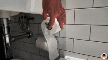 Toilet Paper Beard GIF by England Rover