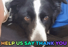 200.gif?cid=fc005b08535ca2131d8c7eb34c71181f86aedde596884c2b&rid=200.gif&ct=g