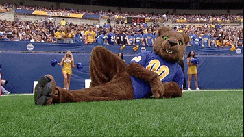 Excited University Of Pittsburgh GIF by Pitt Panthers