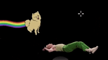 200.gif?cid=fc005b089debdb43537004541fd647353ac44d8a71ee71fa&rid=200.gif&ct=g