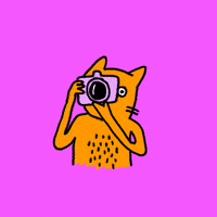 Cat Click GIF by Kochstrasse™