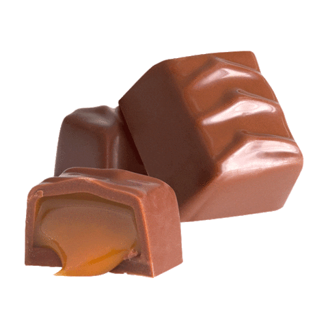 OCHO Candy Sticker