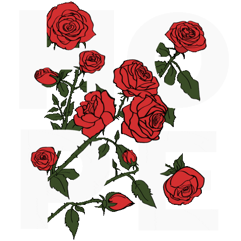 whoishussain.nl Sticker