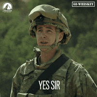 Sir Yes GIF by Paramount Network