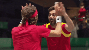 DavisCupbyRakutenFinals sports sport hug tennis GIF