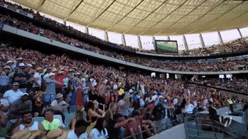 Rugby7S GIF by AEG Rugby