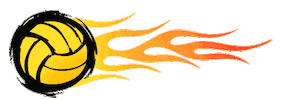 Water Polo Sticker by DUCKO