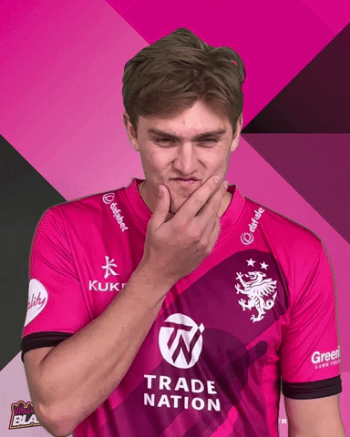Not Out T20 GIF by Somerset County Cricket Club