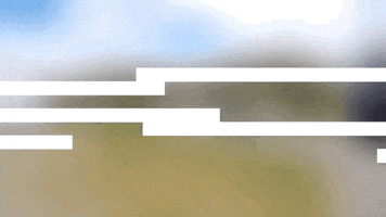 prolinetrailers GIF
