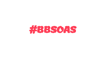 Bbsoas Sticker by NR2F1 Foundation