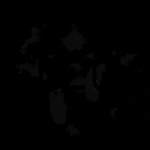 pattn GIF