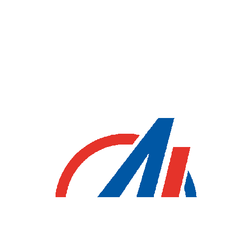 AUTOSCUOLA LANTE Sticker