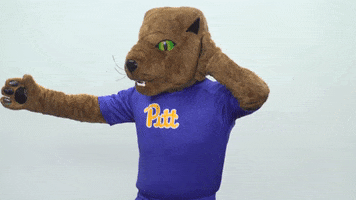 GIF by Pitt Panthers
