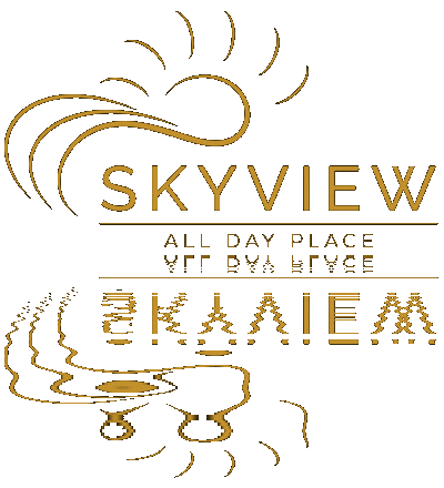 Day Sky Sticker by Skyview