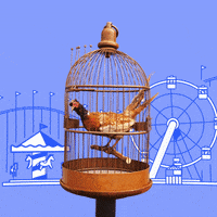 200.gif?cid=fc005b088a0f766658fbf931e59b9d52099e7fbb471658a2&rid=200.gif&ct=g
