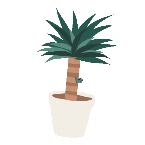 Illustration Sticker