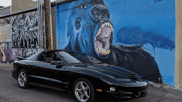 Colorado Cars and Coffee GIF