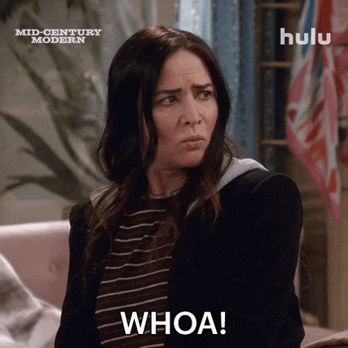 Are You Serious Pamela Adlon GIF by HULU